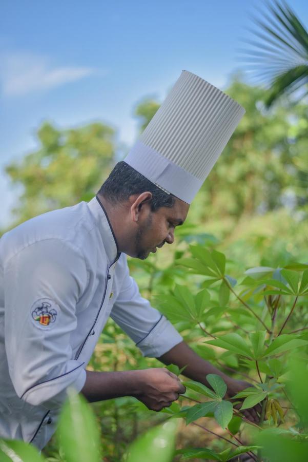 Subaseth Villa Anuradhapura Ngoại thất bức ảnh