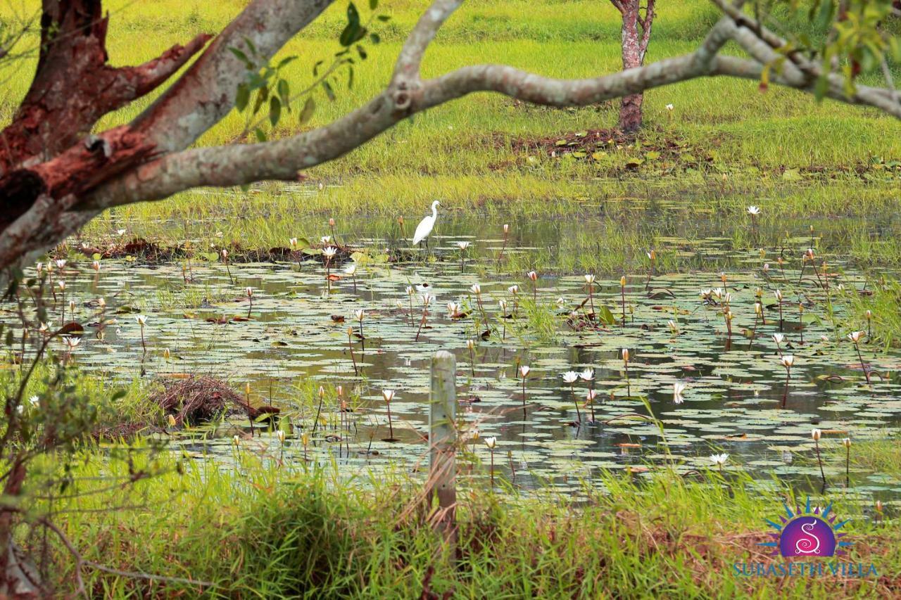 Subaseth Villa Anuradhapura Ngoại thất bức ảnh